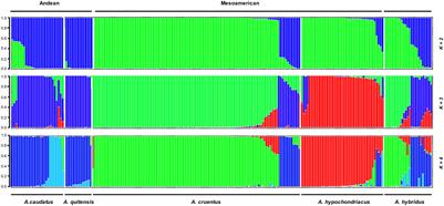 Differentiation of Andean and Mesoamerican accessions in a proposed core collection of grain amaranths